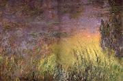 Claude Monet, Water Lilies at Sunset